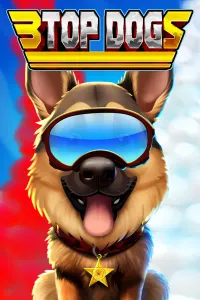 3 Top Dogs